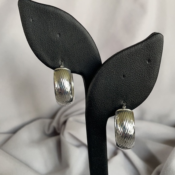 JTV Hoop Earrings - Picture 6 of 9